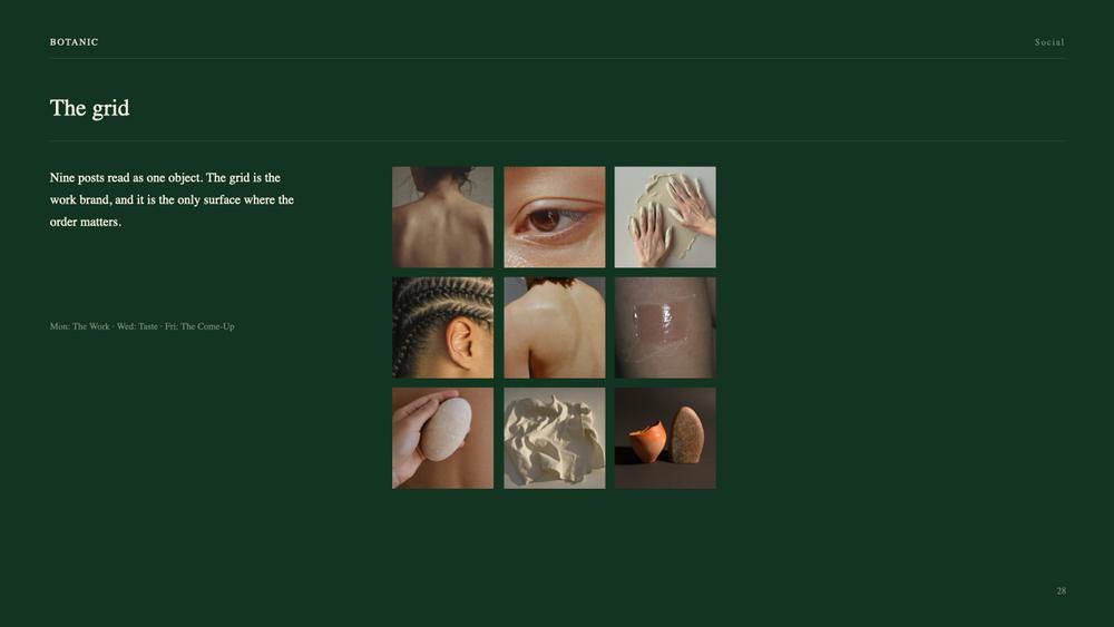 Botanic Social slide